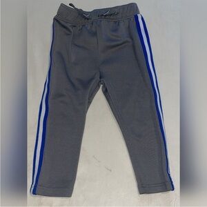 Garanimal size 2T kids sweatpants